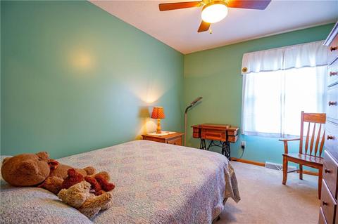 210 Hendrix Blvd, Lagrange, OH 44050 photo 21