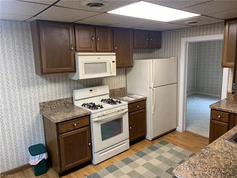 309 Wesley Ave, Elyria, OH 44035 photo 2