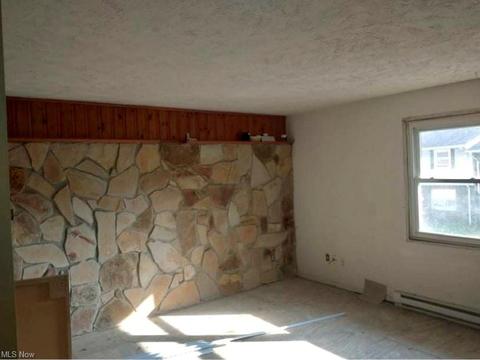 425 Jones St, Wheeling, WV 26003 photo 4