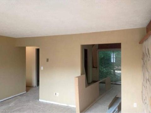 425 Jones St, Wheeling, WV 26003 photo 16