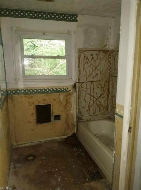 425 Jones St, Wheeling, WV 26003 photo 12