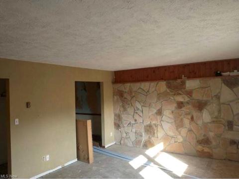 425 Jones St, Wheeling, WV 26003 photo 5