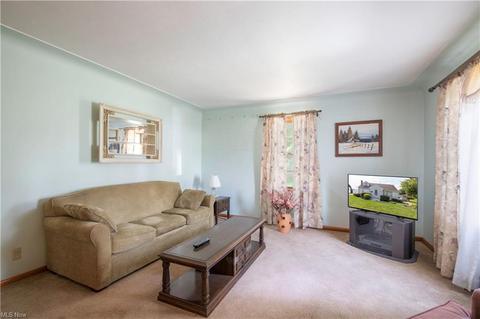 456 Como St, Struthers, OH 44471 photo 8