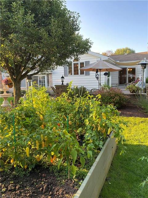 415 Garden Vw, Boardman, OH 44512 photo 10