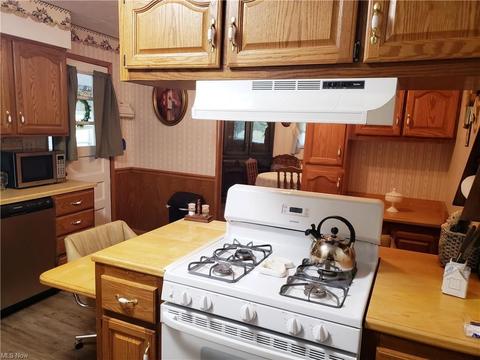 9578 Crestview Dr, Windham, OH 44288 photo 6