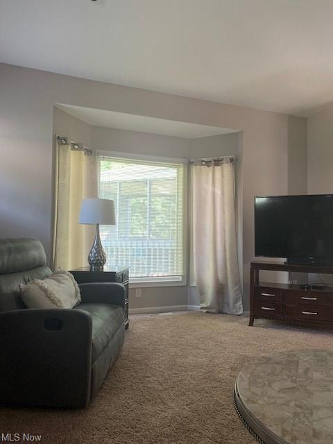 7539 Red Fox Ct, Boardman, OH 44512 photo 6