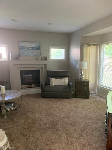 7539 Red Fox Ct, Boardman, OH 44512 photo 5