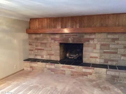 1725 Spring Valley Ave NW, Canton, OH 44708 photo 15