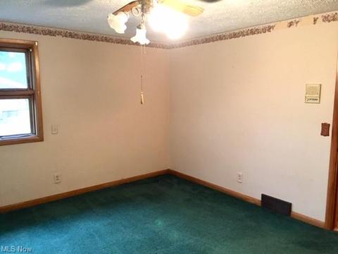 1725 Spring Valley Ave NW, Canton, OH 44708 photo 24