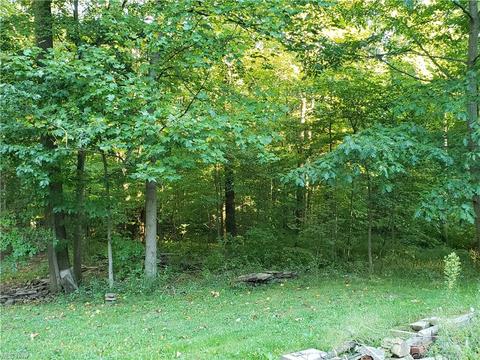7558 Lanese Dr, Windsor, OH 44099 photo 5