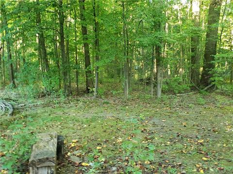 7558 Lanese Dr, Windsor, OH 44099 photo 4