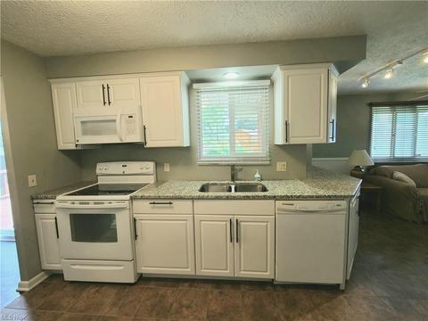 538 E Parkhaven Dr, Seven Hills, OH 44131 photo 5