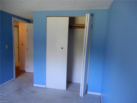 4610 Webb Rd, Perry, OH 44081 photo 28