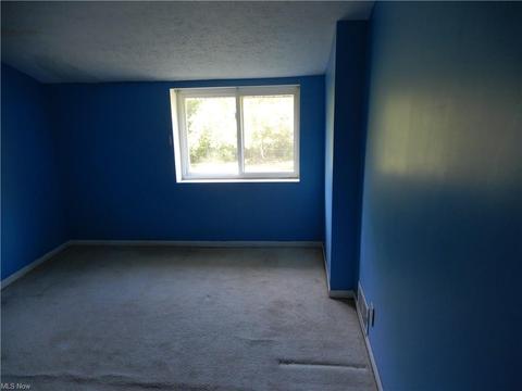 4610 Webb Rd, Perry, OH 44081 photo 29
