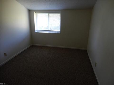 4610 Webb Rd, Perry, OH 44081 photo 26