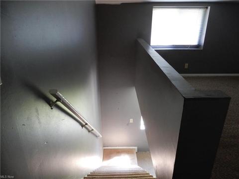 4610 Webb Rd, Perry, OH 44081 photo 24
