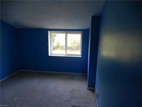 4610 Webb Rd, Perry, OH 44081 photo 27