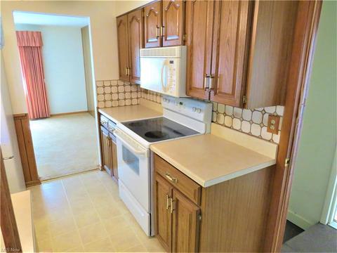 204 Scranton Blvd, Minerva, OH 44657 photo 9