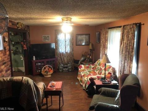 617 E Lincoln Way, Minerva, OH 44657 photo 6