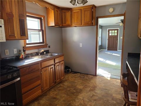 175 Roosevelt Ave, Elyria, OH 44035 photo 7