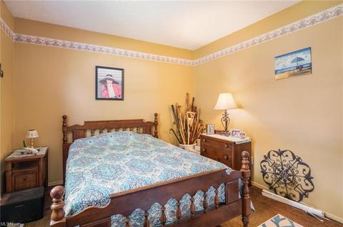 9876 Bright Dr, Windham, OH 44288 photo 16
