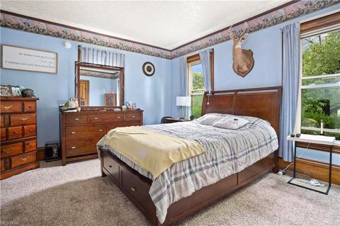 116 S Redfield St, Lodi, OH 44254 photo 8
