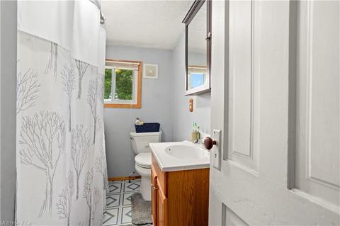 116 S Redfield St, Lodi, OH 44254 photo 14
