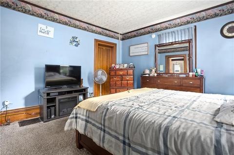 116 S Redfield St, Lodi, OH 44254 photo 9