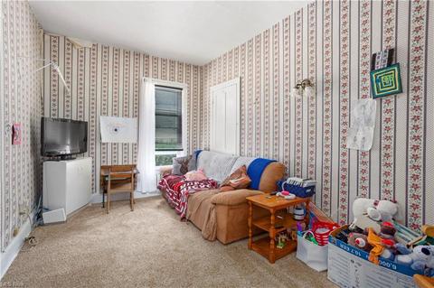 116 S Redfield St, Lodi, OH 44254 photo 16