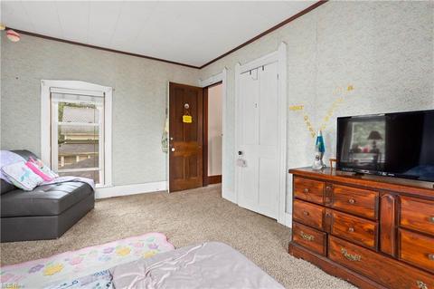 116 S Redfield St, Lodi, OH 44254 photo 22