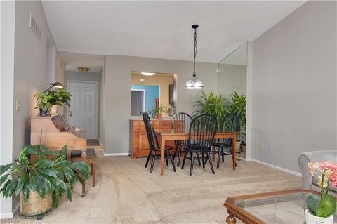 167 Delaware Trl, Copley, OH 44321 photo 10