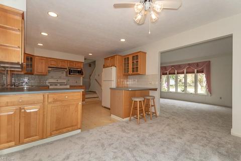 6331 Chase Dr, Mentor, OH 44060 photo 11