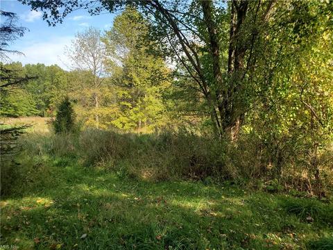4839 E Maple Rd, Geneva, OH 44041 photo 16