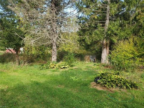 4839 E Maple Rd, Geneva, OH 44041 photo 21