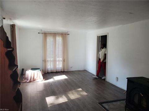 4839 E Maple Rd, Geneva, OH 44041 photo 6