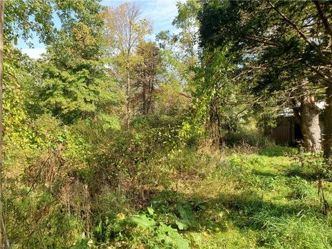 4839 E Maple Rd, Geneva, OH 44041 photo 17