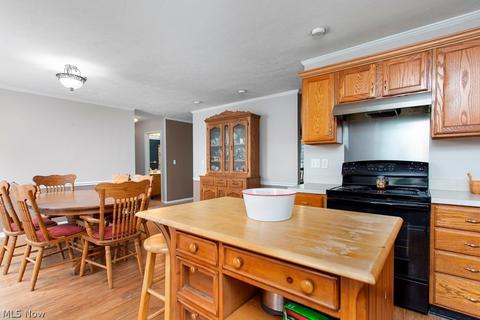 17384 Fairway Dr, Lagrange, OH 44050 photo 12