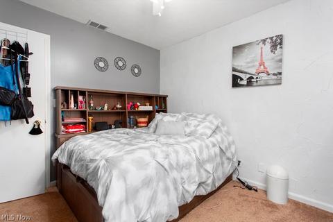 17384 Fairway Dr, Lagrange, OH 44050 photo 22