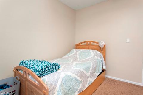 17384 Fairway Dr, Lagrange, OH 44050 photo 20