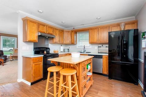 17384 Fairway Dr, Lagrange, OH 44050 photo 11