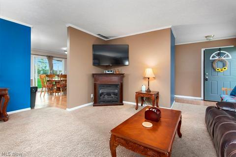 17384 Fairway Dr, Lagrange, OH 44050 photo 4
