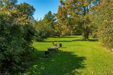 11060 Lagrange Rd, Elyria, OH 44035 photo 23