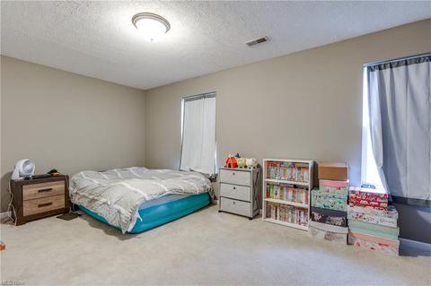 3830 E Parkside Cir, Lorain, OH 44053 photo 24