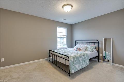 3830 E Parkside Cir, Lorain, OH 44053 photo 17