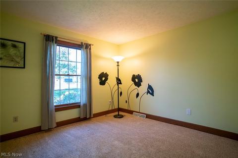 317 Leatherman Rd, Wadsworth, OH 44281 photo 23