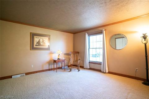 317 Leatherman Rd, Wadsworth, OH 44281 photo 21