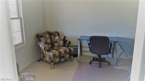 40900 Slife Rd, Lagrange, OH 44050 photo 9