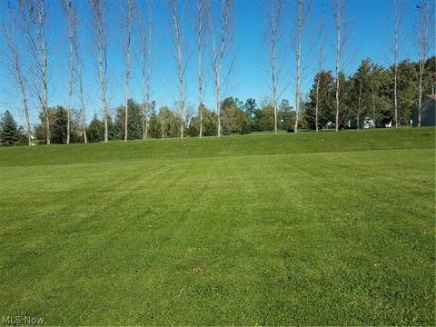 40900 Slife Rd, Lagrange, OH 44050 photo 32