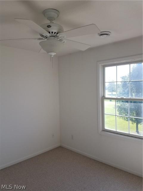 40900 Slife Rd, Lagrange, OH 44050 photo 19