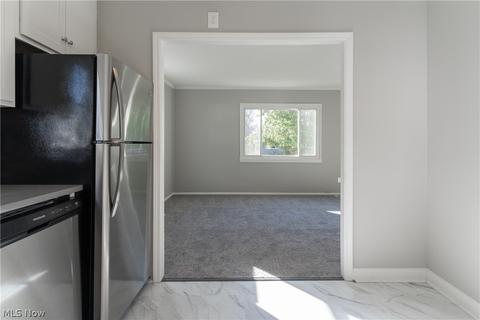355 Roosevelt Ave, Elyria, OH 44035 photo 6